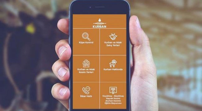 İBB'nin Mobil Kurban Uygulaması kullanıma açıldı