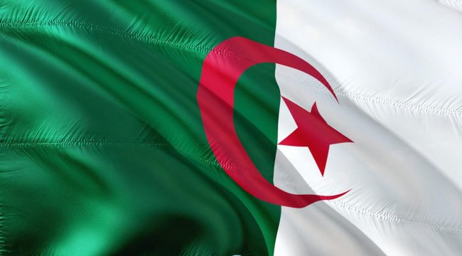 Cezayir'de cumhurbaşkanlığı seçimleri 4 Temmuz'da yapılacak