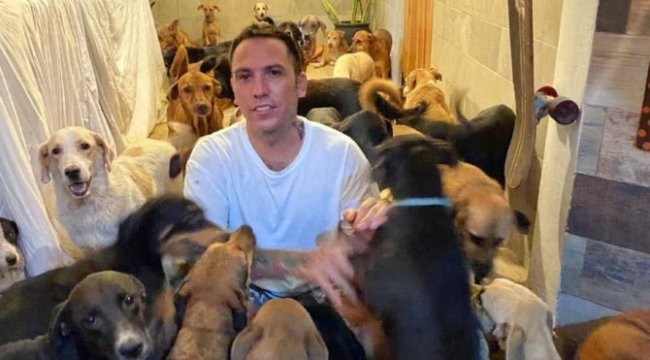 300 köpeği evine aldı!