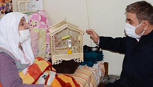 Belediye başkanı, Sevgi ninenin muhabbet kuşu isteğini yerine getirdi