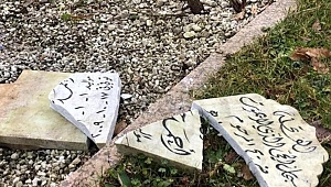 Türkiye'den Almanya’daki Müslüman mezarlığına yönelik saldırıya tepki