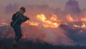 İspanya'da orman yangınları: 25 bin hektar küle döndü
