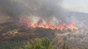 KKTC’de orman yangınıyla mücadele devam ediyor