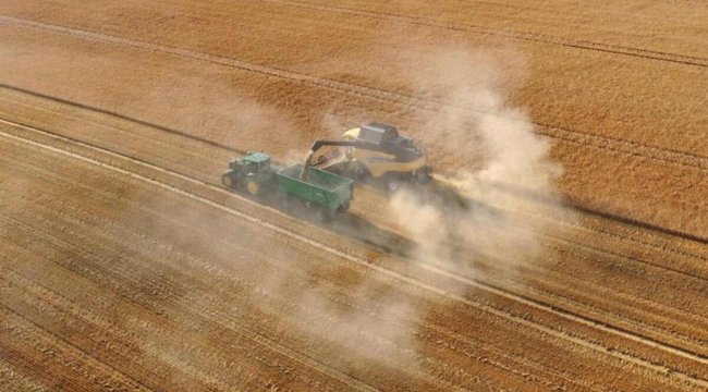 Rusya’da tahıl üretimi 11 milyon ton azaldı