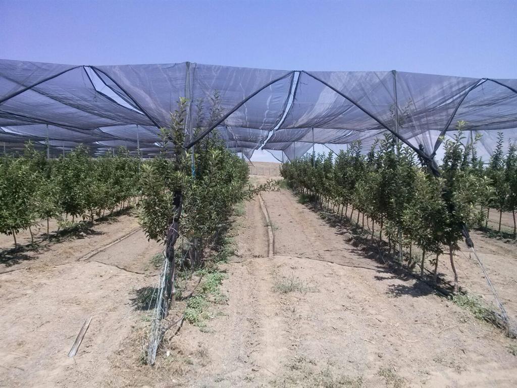 Emin Enerji Solar Destekli Meyve Bahçesi Kurdu