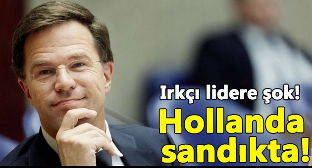 Hollanda Seçimleri Belli Oldu
