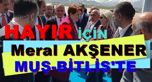 Meral Akşener Muş Bitlis'te Vatandaşa Gitti