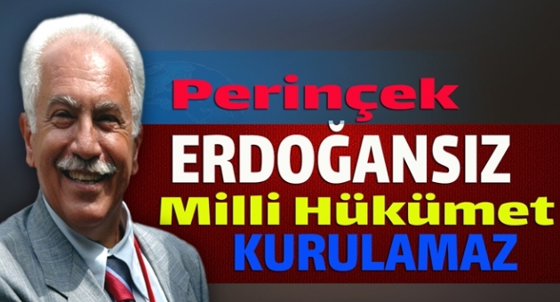 Perinçek Erdoğansız Milli Hükümet olamaz