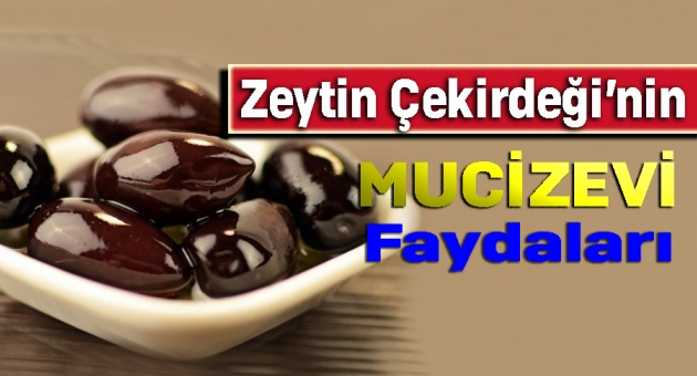 Zeytin Çekirdeğinin Mucizevi Faydaları