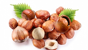 Çiğ fındığın bilinmeyen faydaları! Günde bir avuç yerseniz...