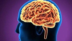 Aşırı kilo zekadan çalıyor!