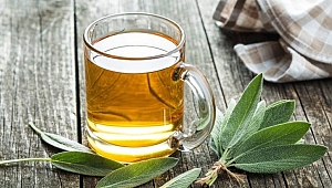 Gribe karşı Alternatif 10 Doğal savaşçı