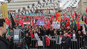 STK'lardan  İsrail'e Veto