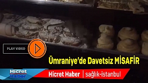 Ümraniye Caddede Ünlü Pastane'de Davetsiz Misafir
