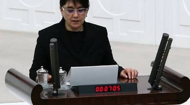 Meclis Zana'nın Vekilliğini Düşürdü
