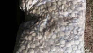 Terör Örgütleri Bilinçli Olarak Militanlara Veriyor