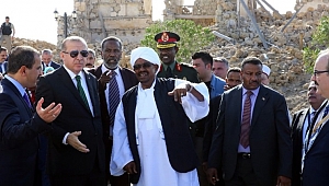 Türkler’e 780 bin hektar alan tarım arazisi