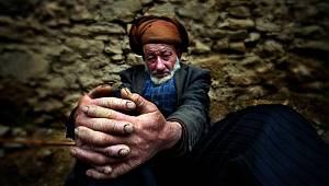 Günün Fotoğrafı Yaşam