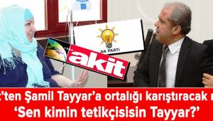 Sen kimin tetikçisisin Şamil Tayyar?