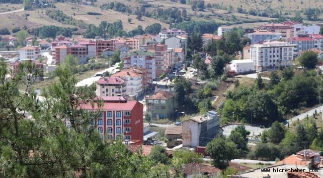 Yatırımın yeni gözdesi Kavak