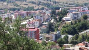 Yatırımın yeni gözdesi Kavak