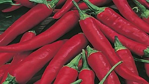 Acı biber deyip geçmeyin!