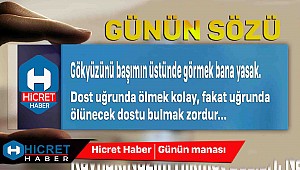 Günün Konusu Dost
