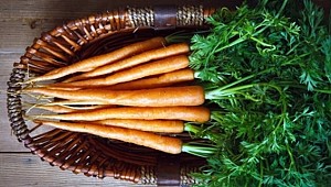 Havuç tam bir şifa deposu!