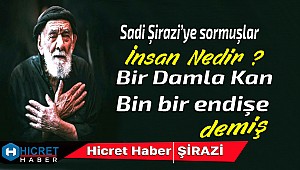 İnsan Nedir