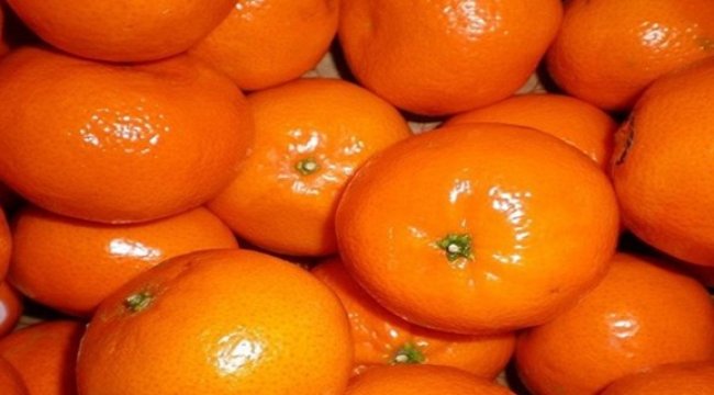 Mandalinada mutluluk var