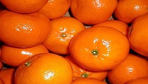 Mandalinada mutluluk var