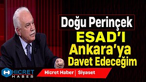 Perinçek Esad'ı Ankaraya Davet Edecek