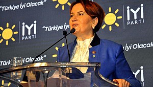İyi Parti'nin İttifak Edeceği 2 Parti