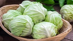 Prostatta umut lahanada!..