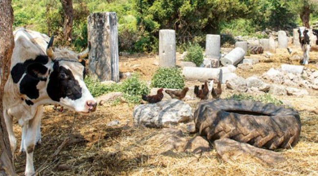 Antik kent 35 milyon liraya satışa çıkarıldı