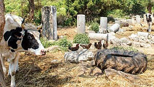 Antik kent 35 milyon liraya satışa çıkarıldı