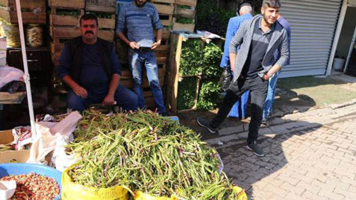 Bu Bitkiyi Yiyen ikiz çocuk sahibi oluyor!