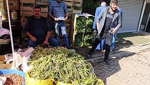 Bu Bitkiyi Yiyen ikiz çocuk sahibi oluyor!