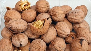 Ceviz tüketimi kalp ve bağırsak sağlığı için faydalı
