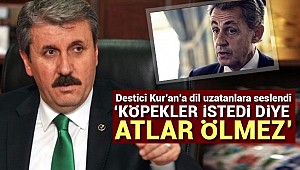 Destici: İslam'a doğru yolu bulmaya davet ediyoruz