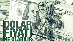Dolar fiyatı ne olabilir?