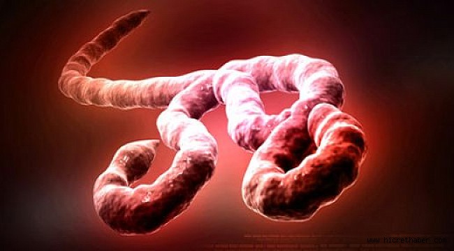 Ebola virüsü yine tehdit ediyor..