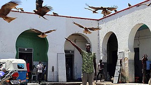 İslam'ın Kutsi Şehri:Harar