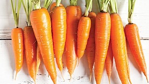 Mevsim geçişlerinde hangi besinlerden destek almalıyız?