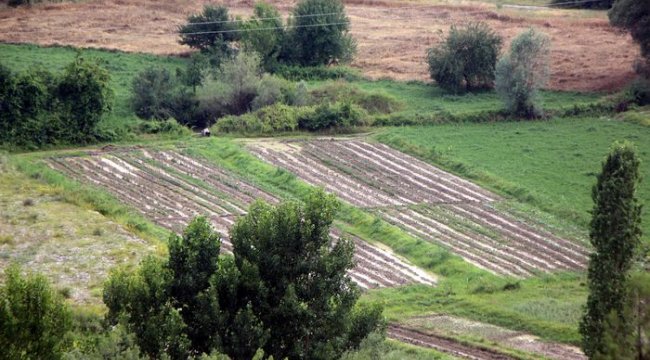 Bolu'da sağanak ve dolu tarım arazilerine zarar verdi