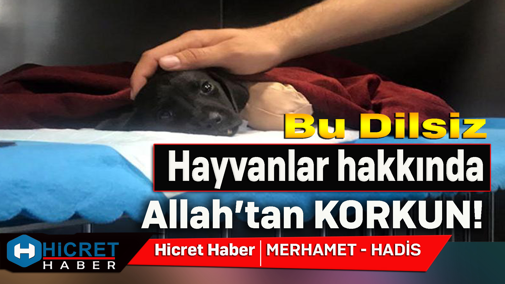 Dilsiz'lere Karşı Allah'tan Korkun
