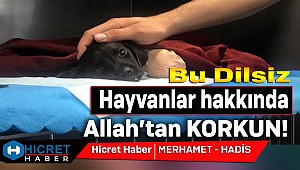 Dilsiz'lere Karşı Allah'tan Korkun