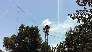 Elektrik direğinde çıkan yangında, 3 yavru leylek telef oldu