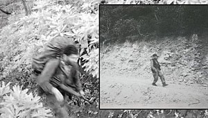 Eren Bülbül’ün katili teröristler fotokapana böyle yakalandı