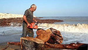 Sel sularından kışa yakacak odun topladılar